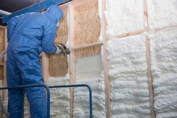 Types of Insulation We Offer in Anza, CA